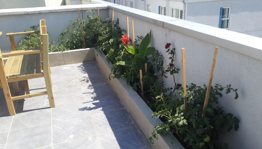 Teraslı Single 1+1