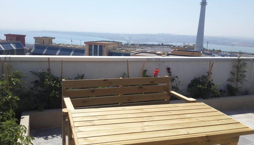 Teraslı Single 1+1